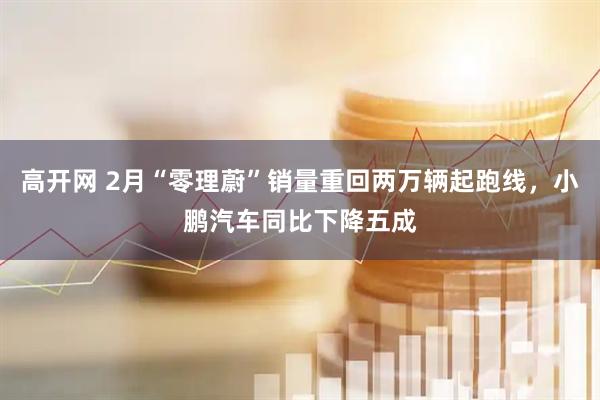 高开网 2月“零理蔚”销量重回两万辆起跑线，小鹏汽车同比下降五成