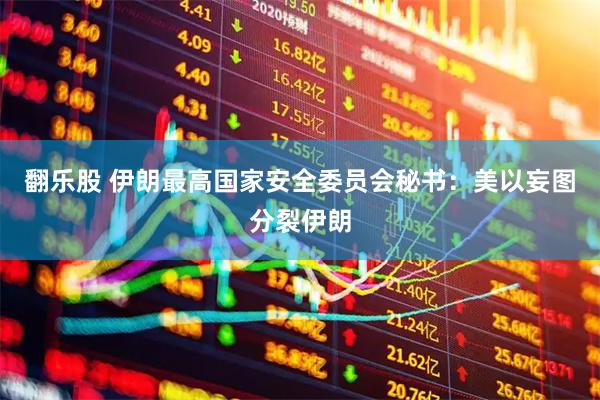 翻乐股 伊朗最高国家安全委员会秘书：美以妄图分裂伊朗