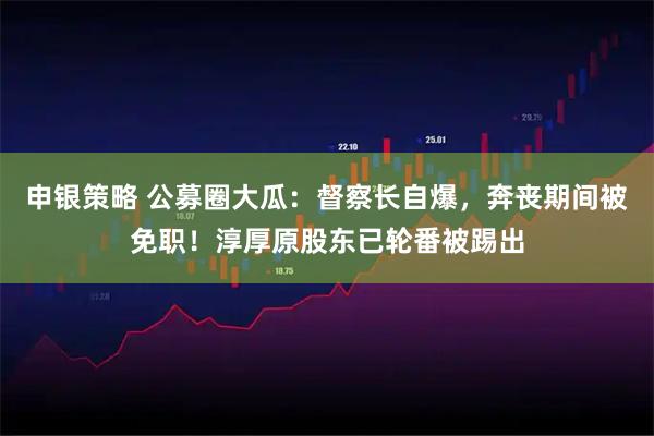 申银策略 公募圈大瓜：督察长自爆，奔丧期间被免职！淳厚原股东已轮番被踢出
