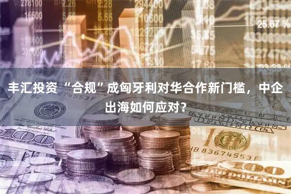 丰汇投资 “合规”成匈牙利对华合作新门槛，中企出海如何应对？